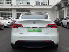 Tesla Model Y long-range all-wheel drive version - фото 5