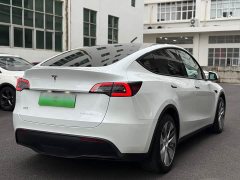 Tesla Model Y long-range all-wheel drive version - фото 6