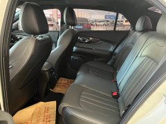 Trumpchi Shadow Leopard 270T DCT Shadow Leopard R-Style Exclusive Edition - фото 5