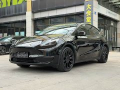 Tesla Model Y long-range all-wheel drive version - фото 1
