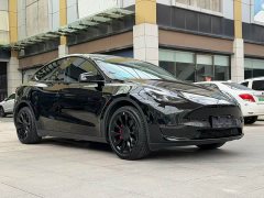 Tesla Model Y long-range all-wheel drive version - фото 2