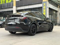 Tesla Model Y long-range all-wheel drive version - фото 8