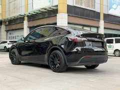 Tesla Model Y long-range all-wheel drive version - фото 9