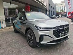 Lexus Voyager 2.0T four-wheel drive Atlantis exclusive version - фото 2