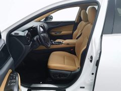 Lexus NX New Energy 400h Changyue Edition - фото 10