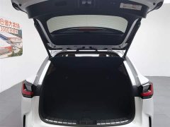 Lexus NX New Energy 400h Changyue Edition - фото 16