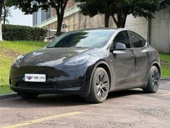 Tesla Model Y rear-wheel drive version - фото 1