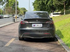 Tesla Model Y rear-wheel drive version - фото 5