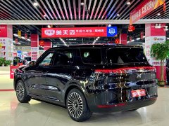 BMW Zhiji LS8 52 Max enjoys the luxury of six seats - фото 6