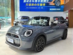 MINI 2.0T COOPER S CABRIO White Stardust Limited Color Matching - фото 9