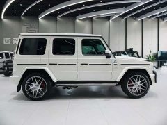 Mercedes-Benz G-Class G 450 d Korean version - фото 10
