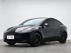 Tesla Model Y rear-wheel drive version - фото 1
