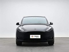 Tesla Model Y rear-wheel drive version - фото 2