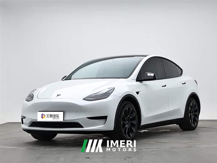 Tesla Model Y rear-wheel drive version - автомобиль из Китая
