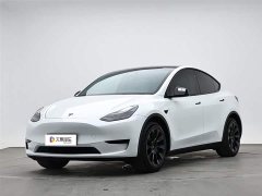 Tesla Model Y rear-wheel drive version - фото 1