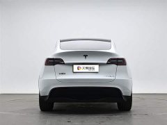 Tesla Model Y rear-wheel drive version - фото 4