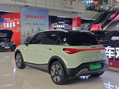 smart Elf #1 2022 Premium Edition - фото 15