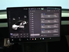 Tesla Model 3 rear-wheel drive version - фото 13