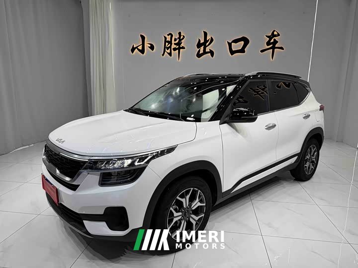 BMW KX3 Propao 2021 1.5L CVT Trendy Edition - автомобиль из Китая