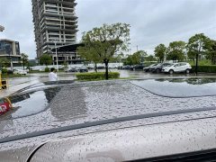 Lexus Alison 2.0L e:HEV Deluxe Edition - фото 5