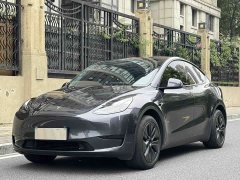 Tesla Model Y rear-wheel drive version - фото 1