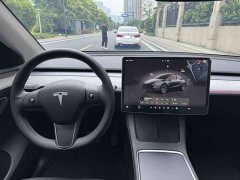 Tesla Model Y rear-wheel drive version - фото 11
