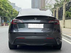 Tesla Model Y rear-wheel drive version - фото 16