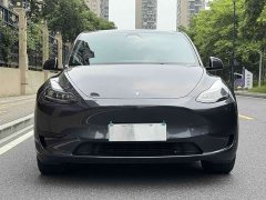 Tesla Model Y rear-wheel drive version - фото 2