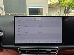 Li Auto Ideal L9 Pro - фото 16