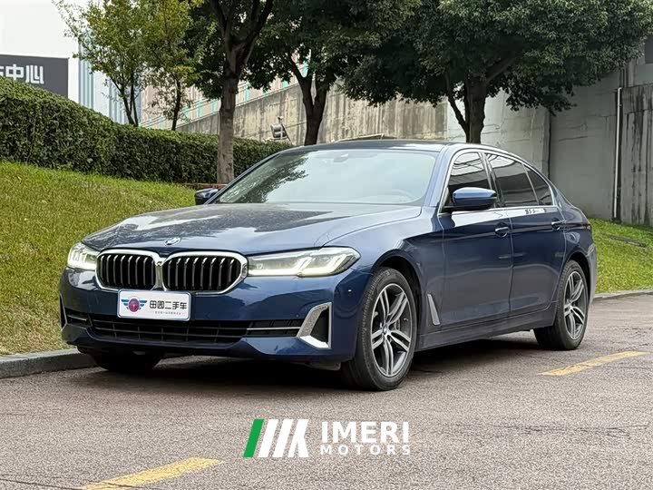BMW 5 Series 530Li Leading Luxury Package - автомобиль из Китая