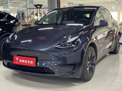 Tesla Model Y rear-wheel drive version - фото 1