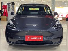 Tesla Model Y rear-wheel drive version - фото 2