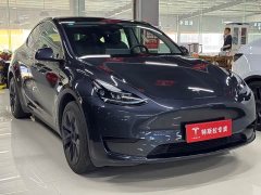 Tesla Model Y rear-wheel drive version - фото 3