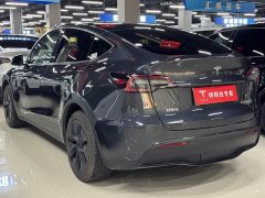 Tesla Model Y rear-wheel drive version - фото 7