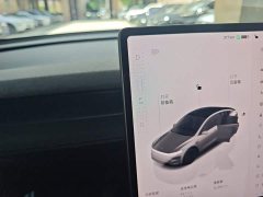 Tesla Model Y rear-wheel drive version - фото 10