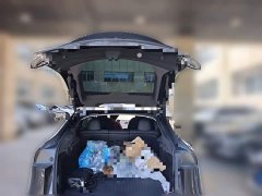 Tesla Model Y rear-wheel drive version - фото 15