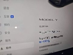 Tesla Model Y rear-wheel drive version - фото 8