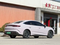 BYD Qin L 2024 DM-i 120KM Excellent Type - фото 6