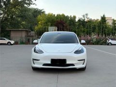 Tesla Model 3 Performance high-performance all-wheel drive version - фото 2