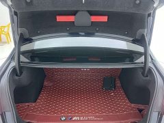 BMW 3 Series 320Li M Sports Package - фото 16