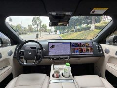 Li Auto Ideal L9 Max - фото 13