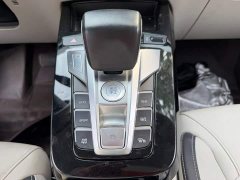 BYD Yuan Pro Lifetime Edition - фото 9