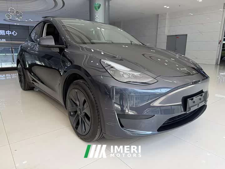 Tesla Model Y rear-wheel drive version - автомобиль из Китая