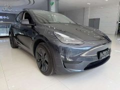 Tesla Model Y rear-wheel drive version - фото 1