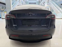 Tesla Model Y rear-wheel drive version - фото 10