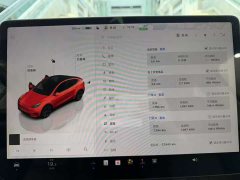 Tesla Model Y rear-wheel drive version - фото 12