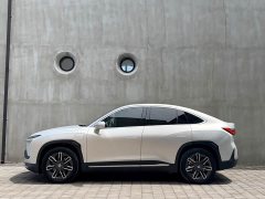 NIO EC6 2020 Performance Edition 440KM - фото 9