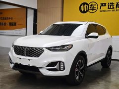 Lynk & Co Weipai VV6 2.0T 2WD Intelligent Protection - фото 1