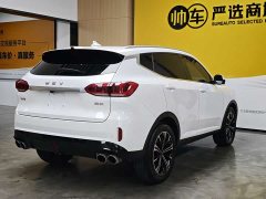 Lynk & Co Weipai VV6 2.0T 2WD Intelligent Protection - фото 4