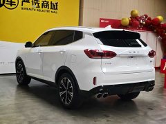 Lynk & Co Weipai VV6 2.0T 2WD Intelligent Protection - фото 6